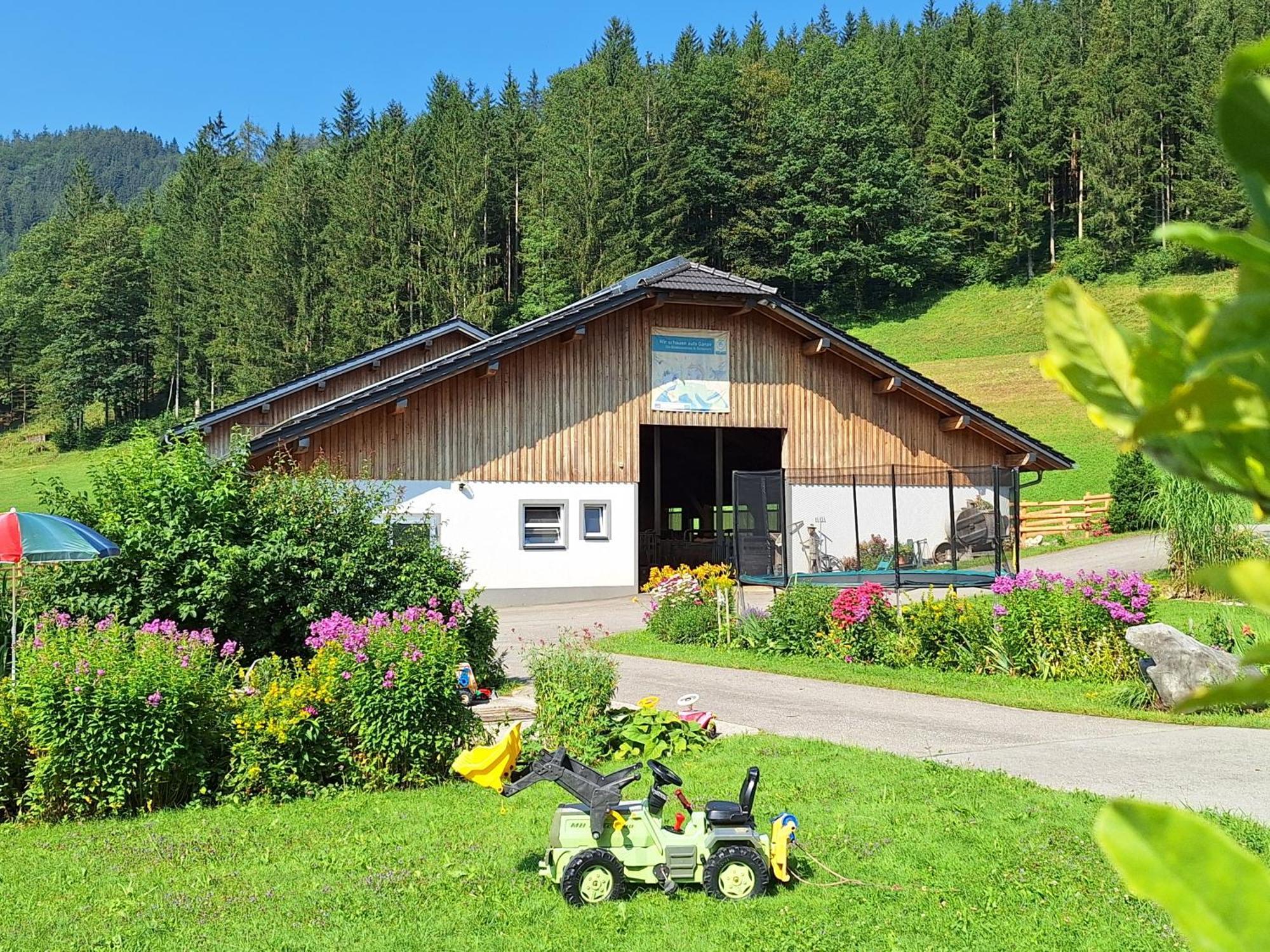 Biobauernhof Poidlbauer Villa Göstling an der Ybbs Exterior foto