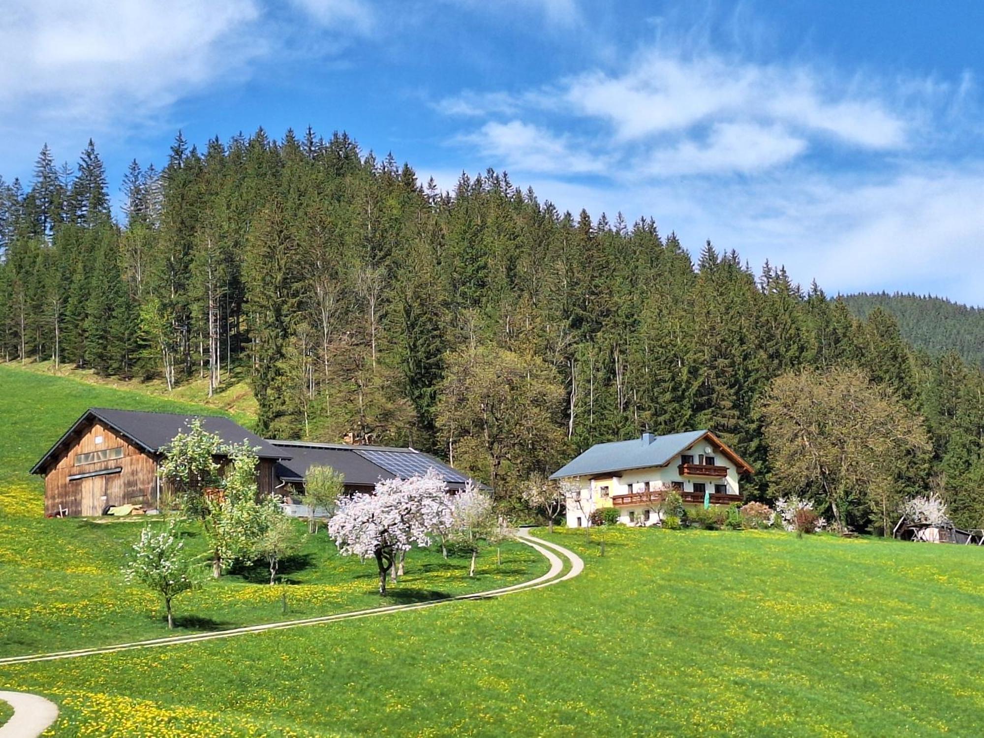 Biobauernhof Poidlbauer Villa Göstling an der Ybbs Exterior foto
